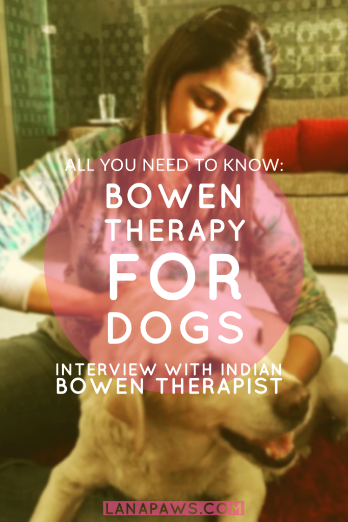 All You Need to Know Bowen Therapy For Dogs