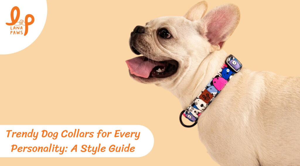 Trendy Dog Collars for Every Personality Style Guide for Indian